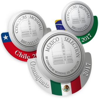logo-Latin